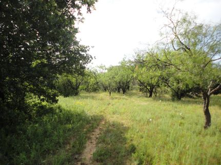 Land in Jack County, Texas
