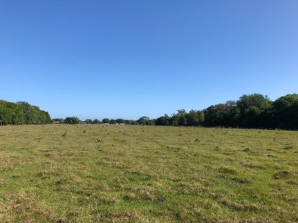 Land in Hillsborough County, Florida