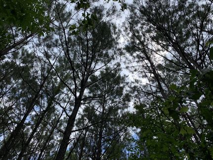 Farm and Ranch in Chilton County, Alabama