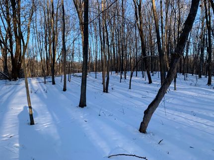 Farm and Ranch in Dodge County, Minnesota