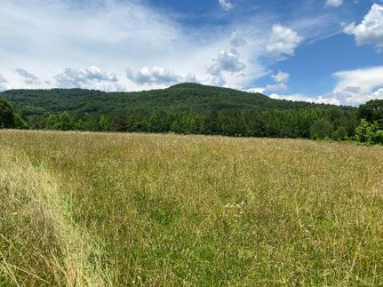 Farm and Ranch in Jackson County, Alabama