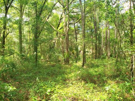 Recreational Property in Marion County, Florida