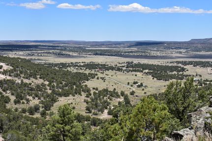 Farm and Ranch in Catron County, New Mexico