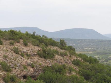 Farm and Ranch in Coke County, Texas