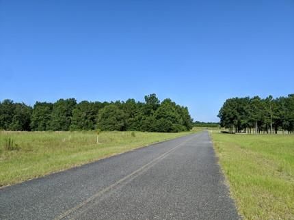 Undeveloped Land in Columbia County, Florida