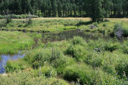 Riverfront Property in Sandoval County, New Mexico