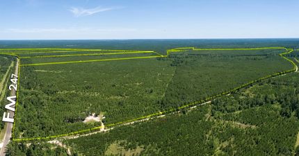 Timberland Property in Walker County, Texas