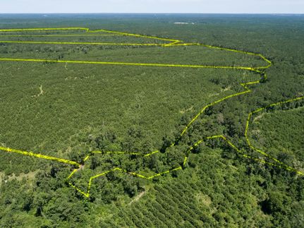 Farm and Ranch in Walker County, Texas