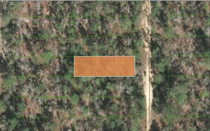 Farm and Ranch in Putnam County, Florida