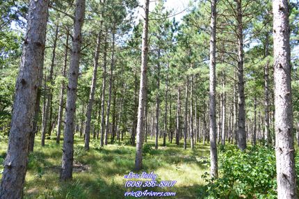 Timberland Property in Adams County, Wisconsin