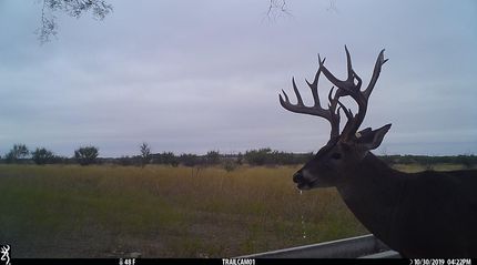 Farm and Ranch in Coleman County, Texas