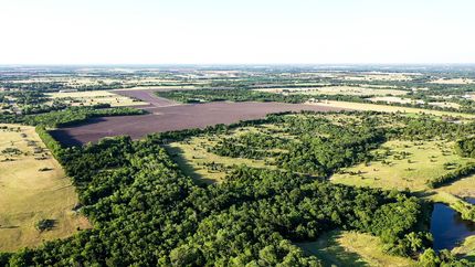 Farm and Ranch in Collin County, Texas