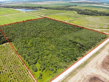 Timberland Property in Chicot County, Arkansas