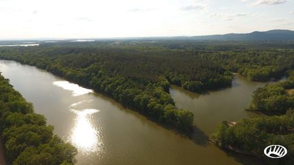 Timberland Property in Cherokee County, Alabama