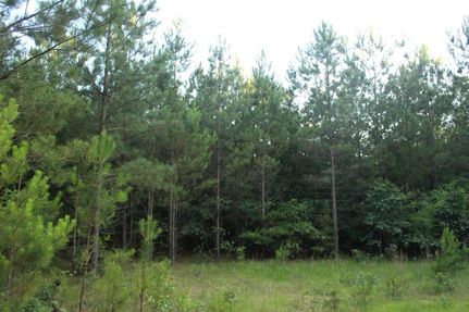 Undeveloped Land in McCormick County, South Carolina