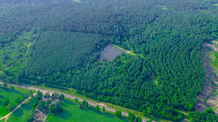 Undeveloped Land in San Jacinto County, Texas