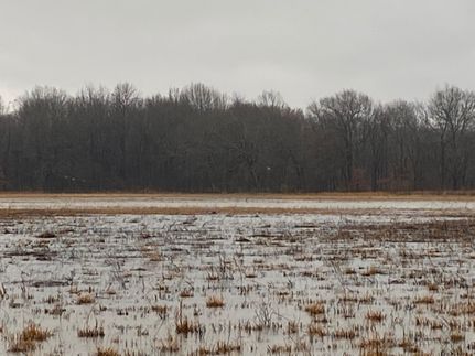 Farm and Ranch in Woodruff County, Arkansas