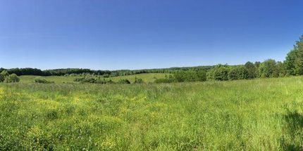Land in Lauderdale County, Alabama