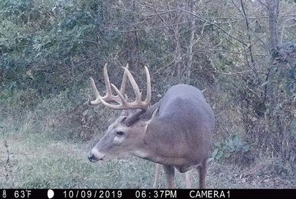 Farm and Ranch in Jefferson County, Illinois