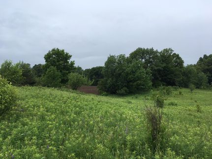 Waterfront Property in Jefferson County, New York