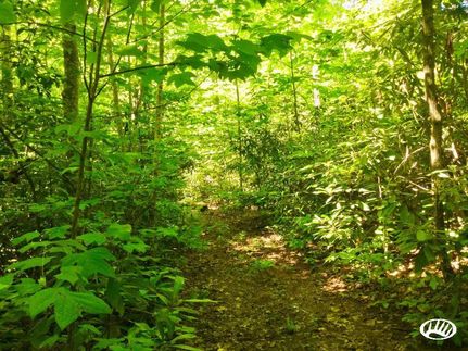 Recreational Property in Unicoi County, Tennessee