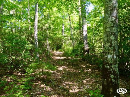 Hunting Property in Unicoi County, Tennessee