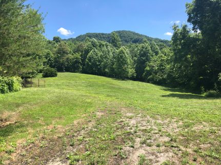 Timberland Property in Grainger County, Tennessee