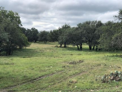 Farm and Ranch in Menard County, Texas