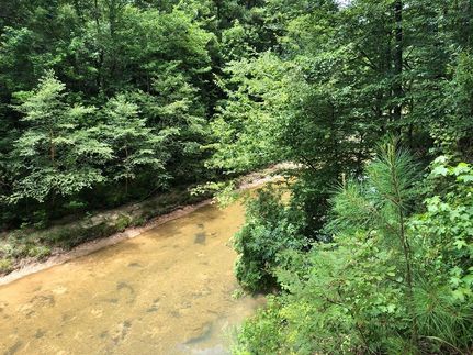 Timberland Property in Franklin County, Mississippi