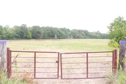 Recreational Property in Angelina County, Texas