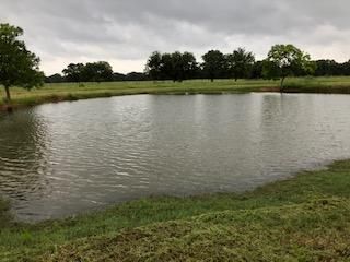 Undeveloped Land in Gillespie County, Texas