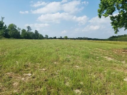 Timberland Property in Trinity County, Texas
