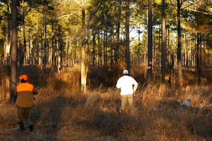 Land in Lee County, Georgia