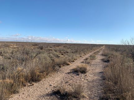 Hunting Property in Ward County, Texas