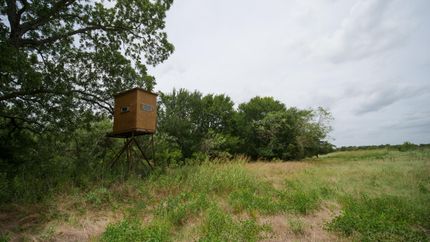 Farm and Ranch in Milam County, Texas