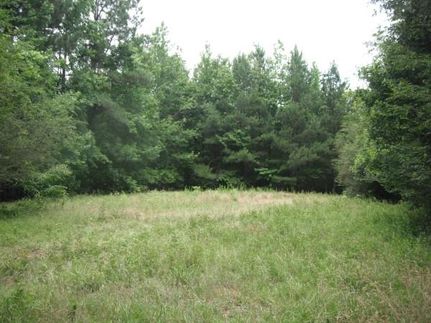 Undeveloped Land in Newberry County, South Carolina