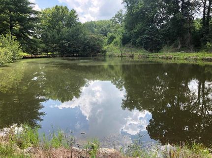 Land in Wayne County, Tennessee