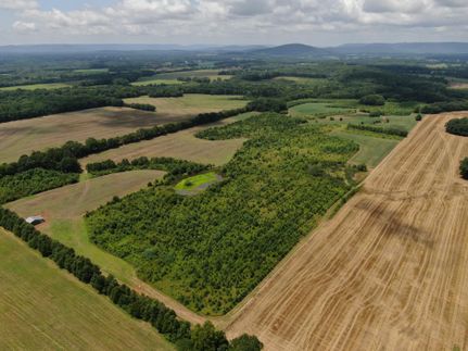 Hunting Property in Madison County, Alabama