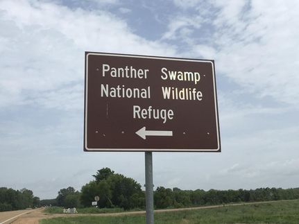 Hunting Property in Humphreys County, Mississippi