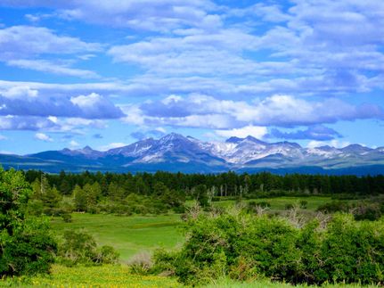 Farm and Ranch in Montezuma County, Colorado