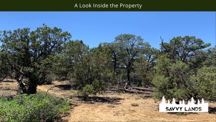Hunting Property in Cibola County, New Mexico