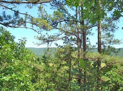 Timberland Property in Atoka County, Oklahoma