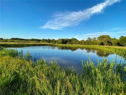 Land in Burleson County, Texas