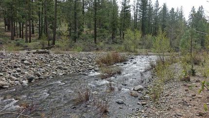 Undeveloped Land in Lassen County, California