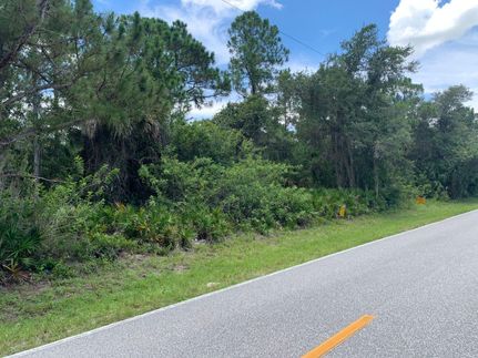 Undeveloped Land in Charlotte County, Florida