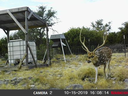 Farm and Ranch in Edwards County, Texas