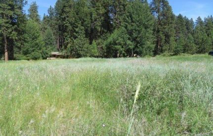 Undeveloped Land in Klamath County, Oregon