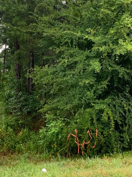 Undeveloped Land in Harrison County, Texas