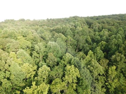 Land in Claiborne County, Mississippi