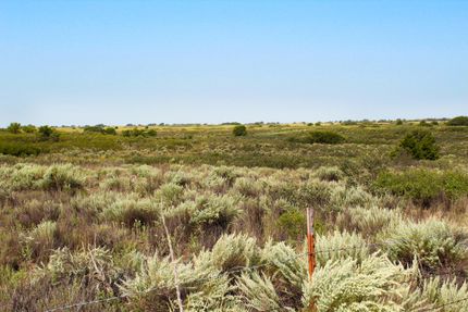 Undeveloped Land in Wheeler County, Texas